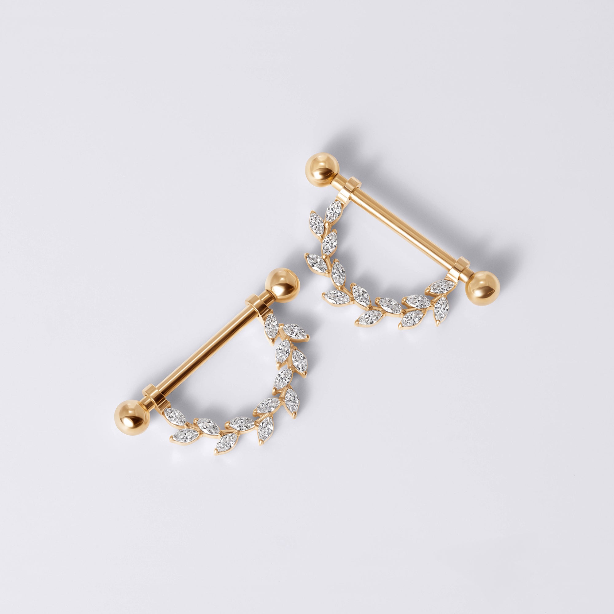 Internally Threaded Titanium Nipple Ring