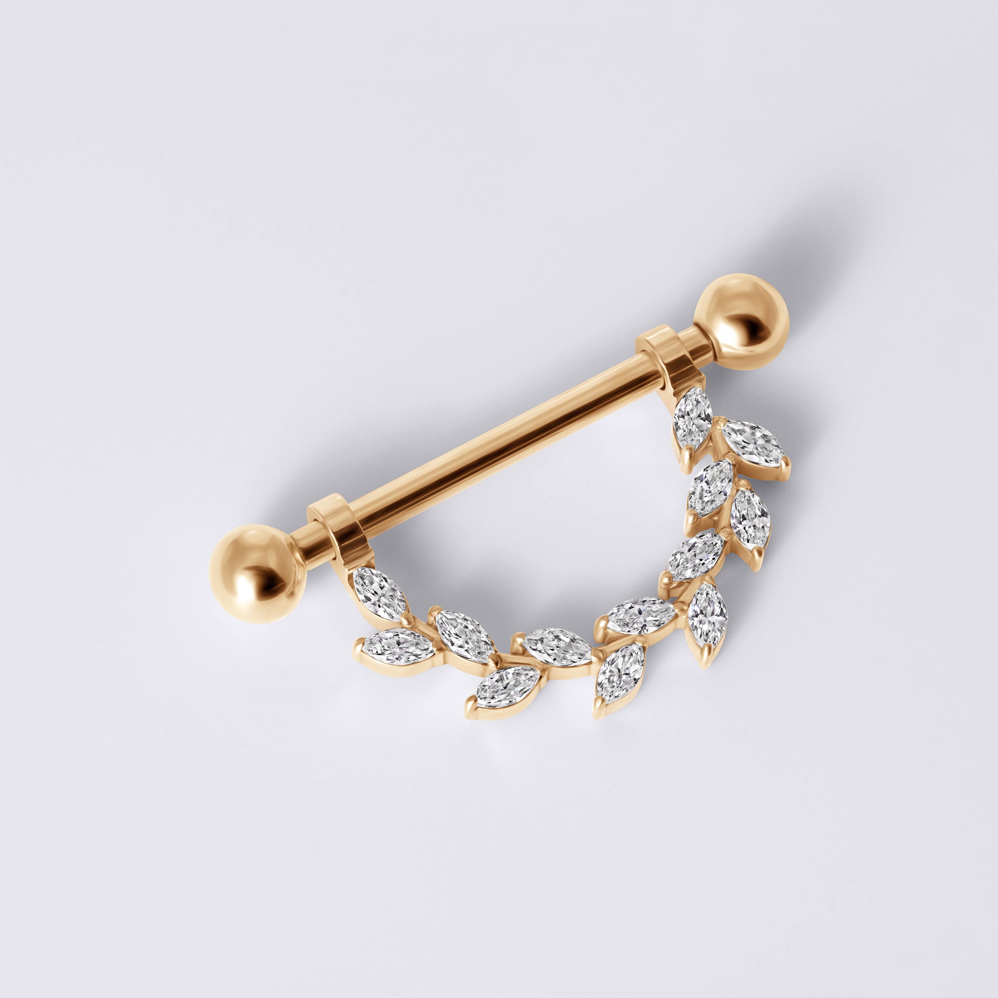 Internally Threaded Titanium Nipple Ring
