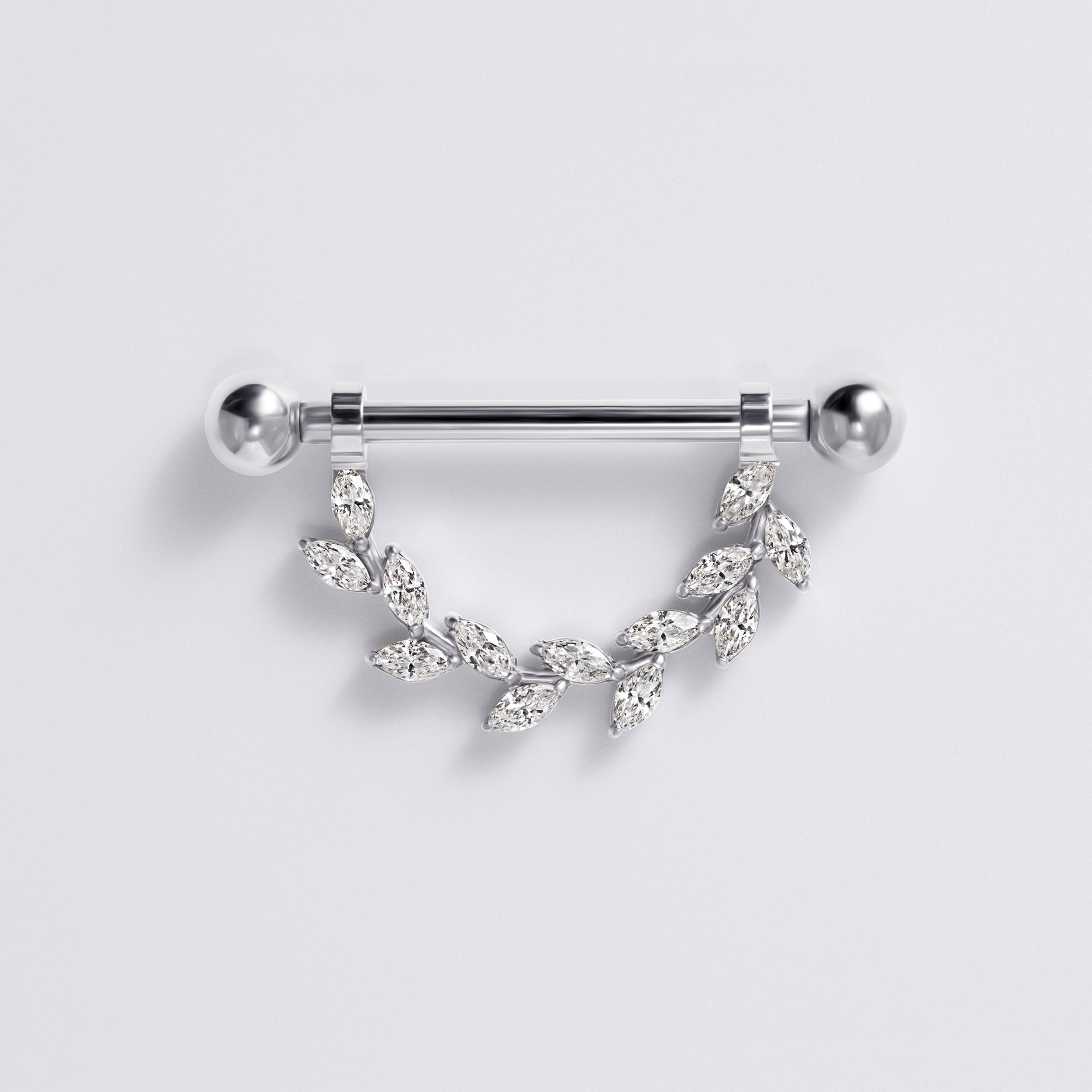 Internally Threaded Titanium Nipple Ring