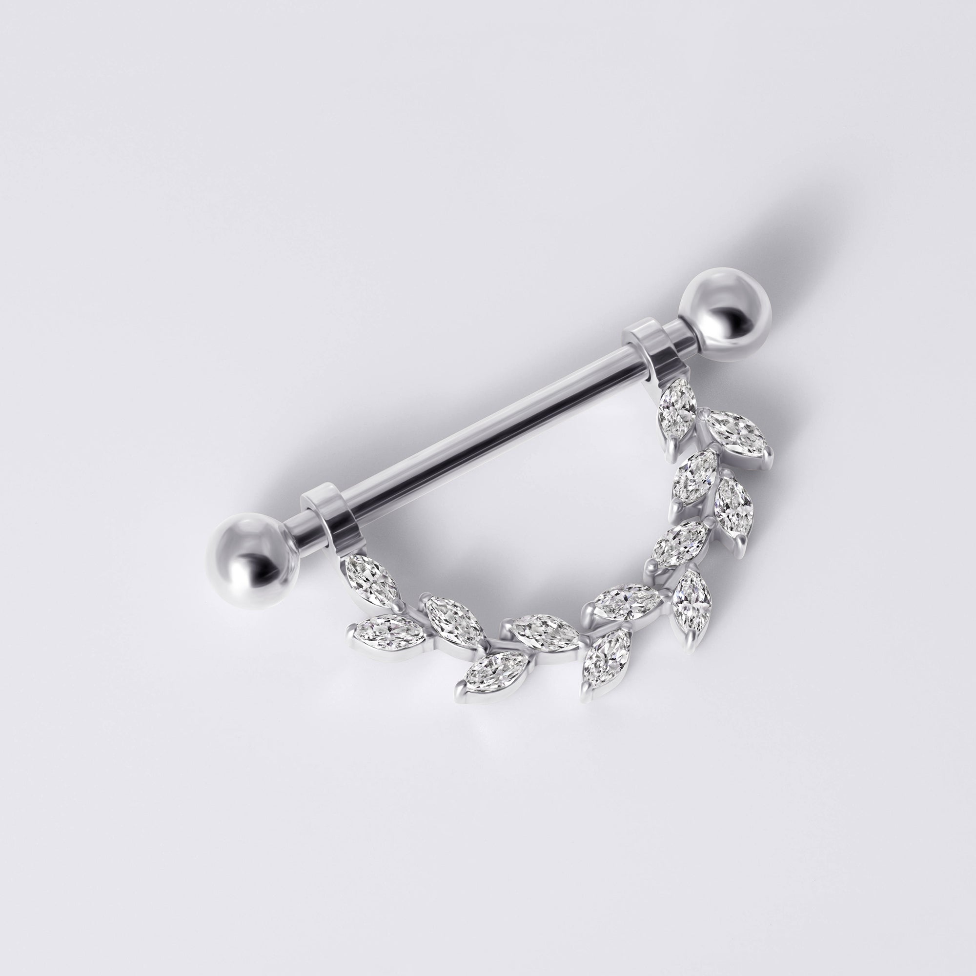 Internally Threaded Titanium Nipple Ring