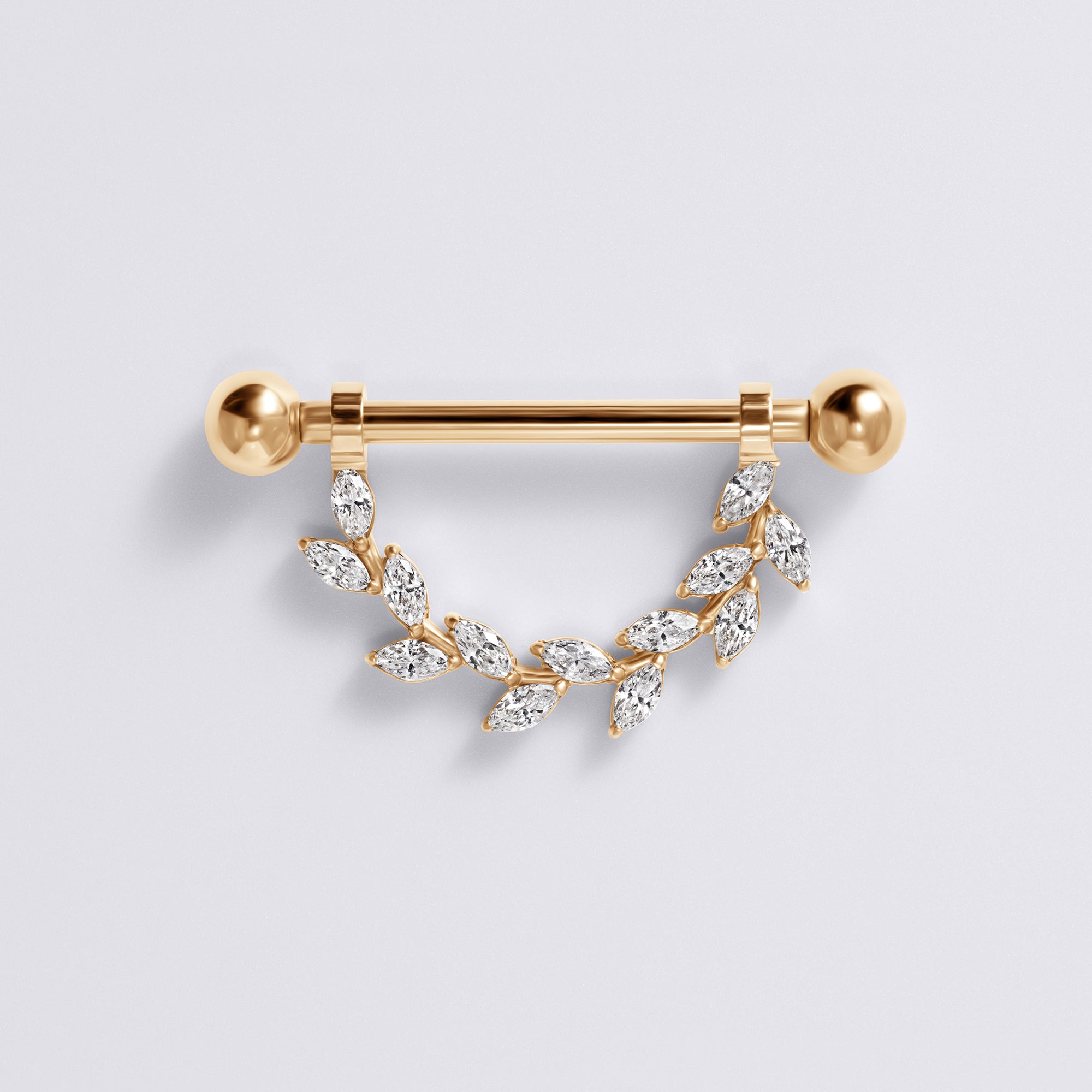 Internally Threaded Titanium Nipple Ring
